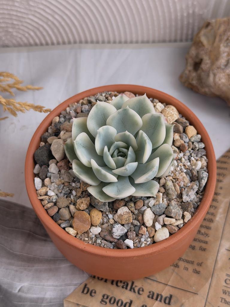 Лунная Фея в терракоте