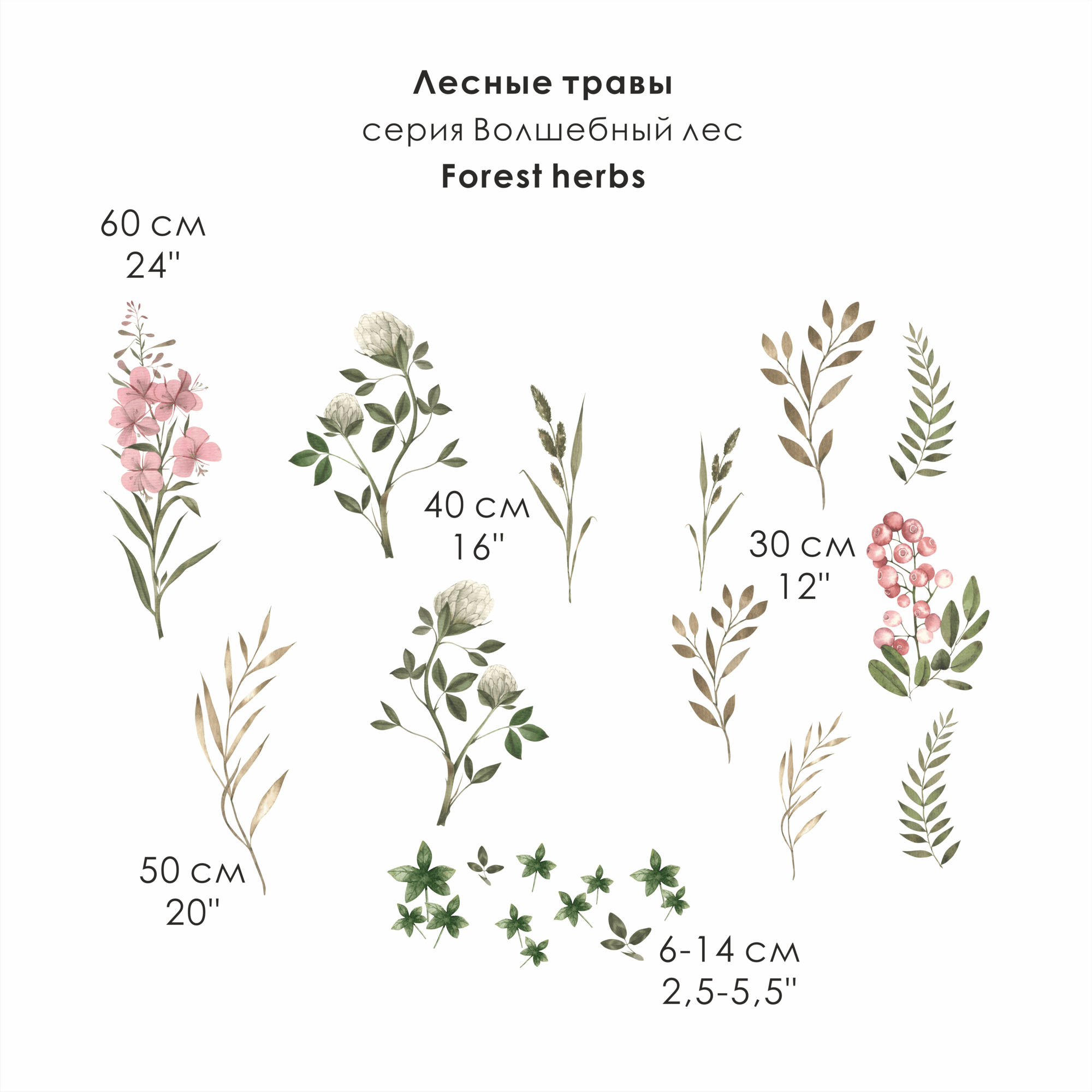 Наклейки на стену "ЛЕСНЫЕ ТРАВЫ-серия Волшебный лес"
