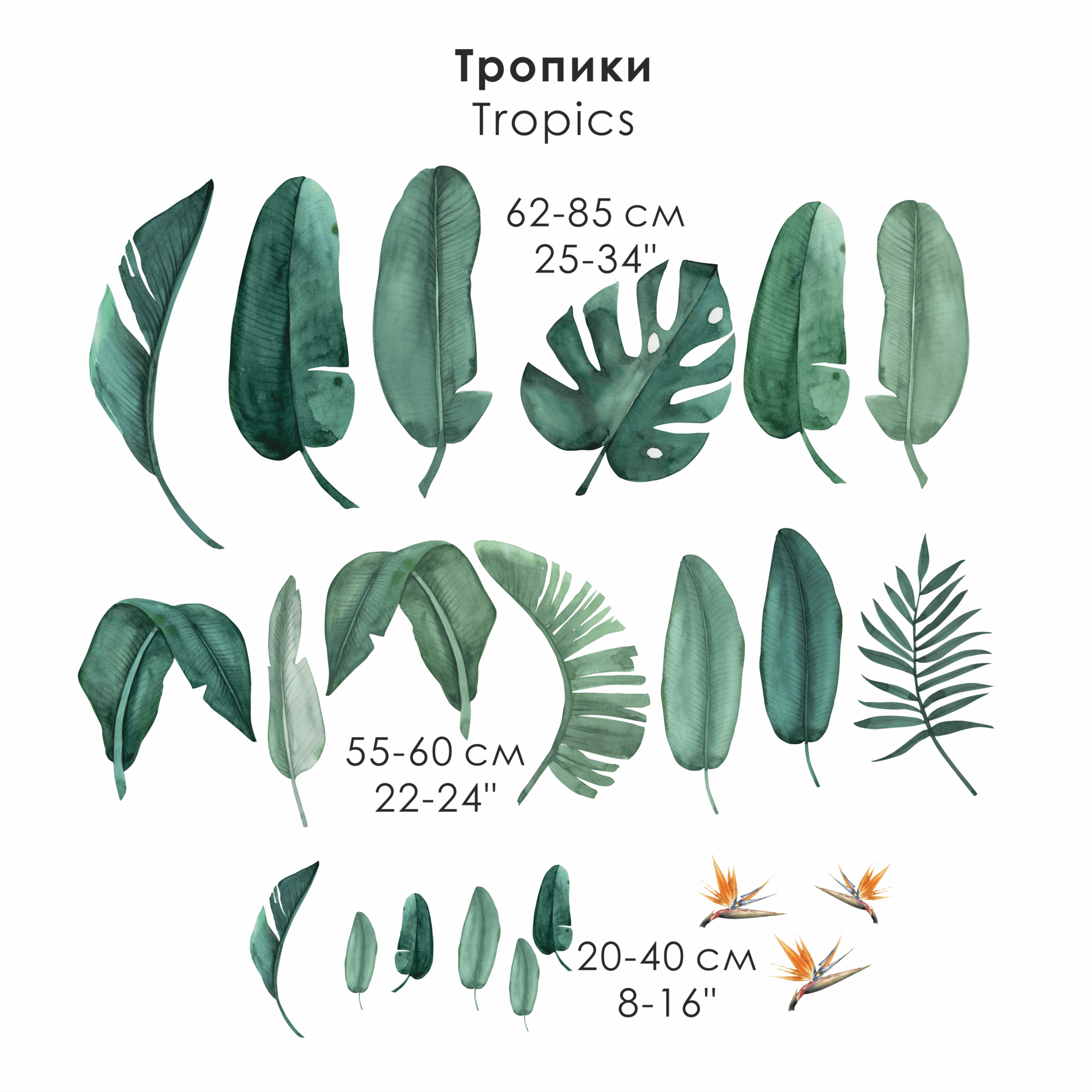 Наклейка на стену "ТРОПИКИ"