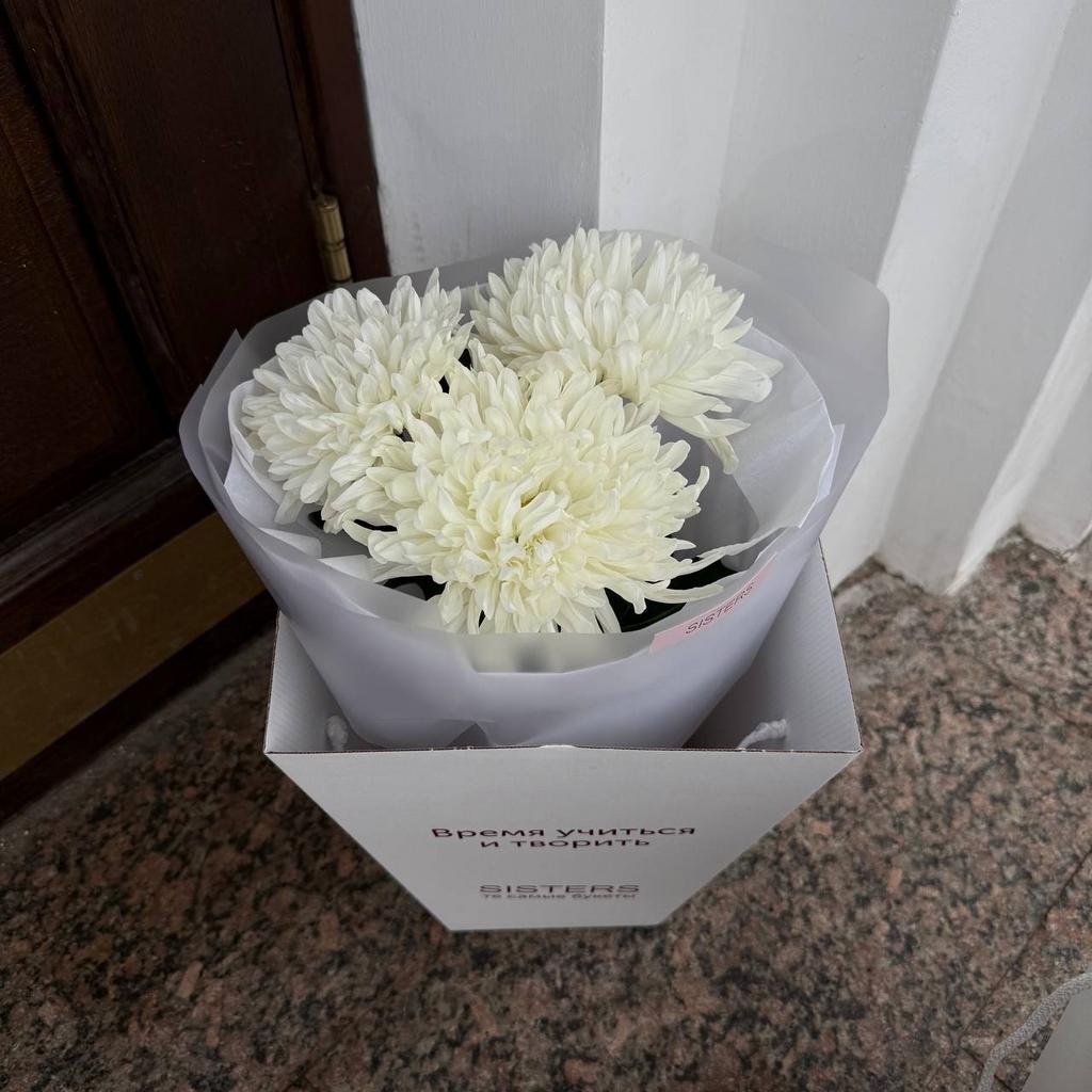 Букет хризантем Антонов