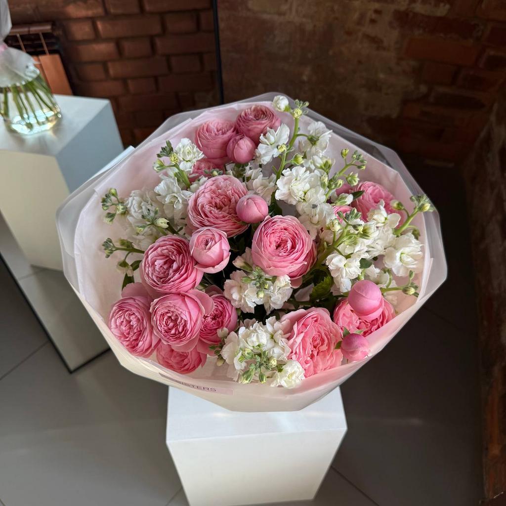 ДУО Сильва + Маттиола