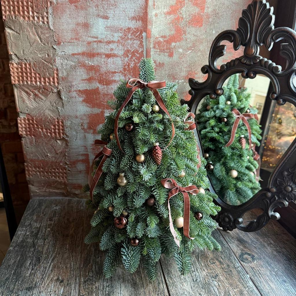 Елочка из нобилиса "Шоколад"