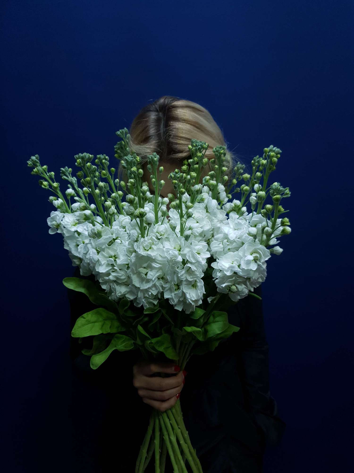 Single-flowers №52