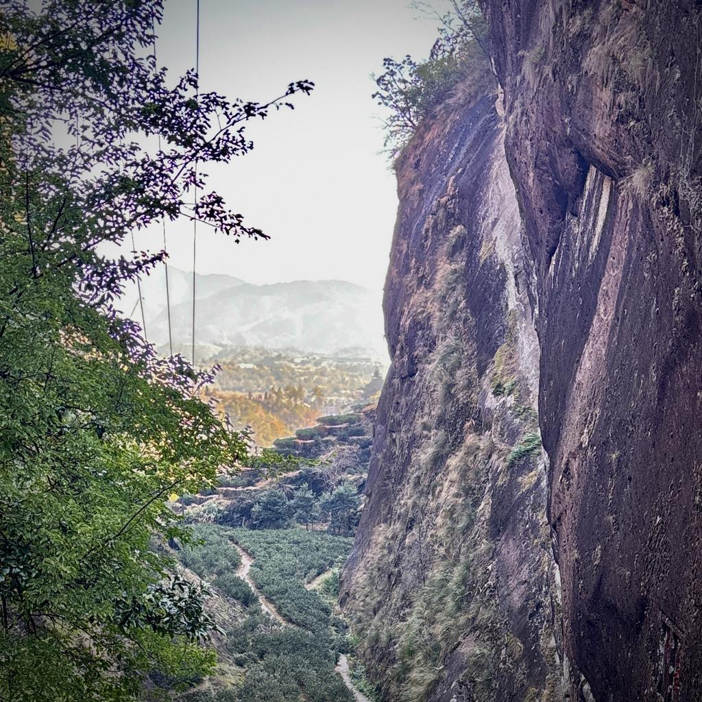 Янь Юнь 2025 (5×8 г)