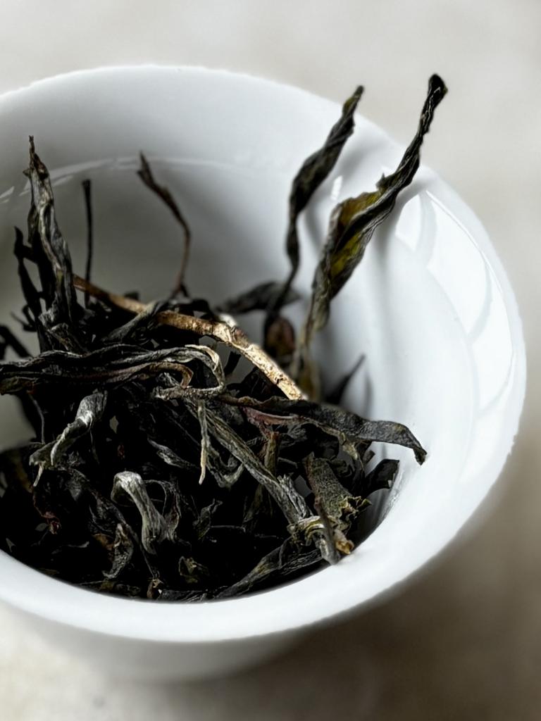 Ну Шу Дань Чжу Наньношань 2026