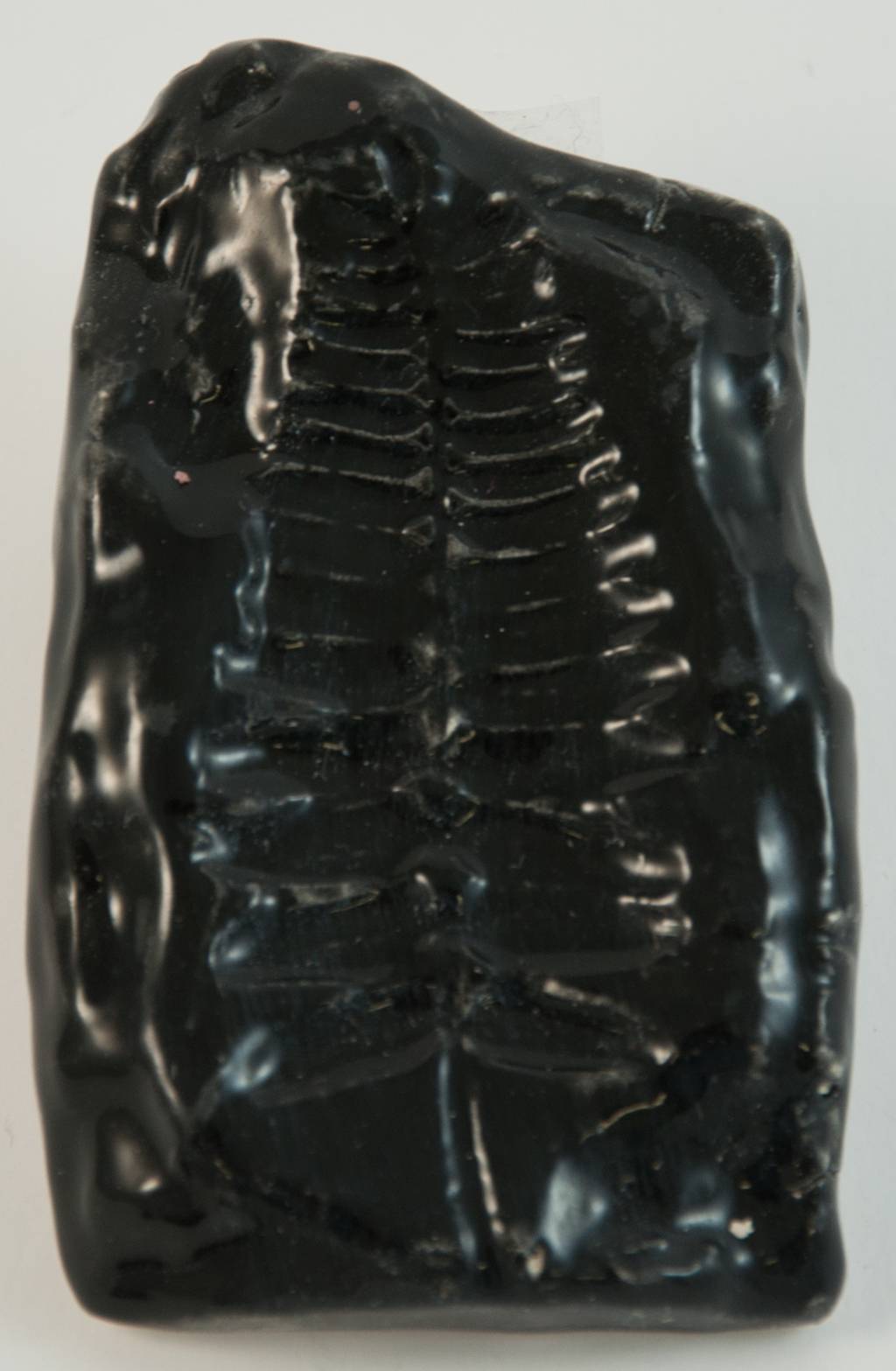 Глазурь черная 020