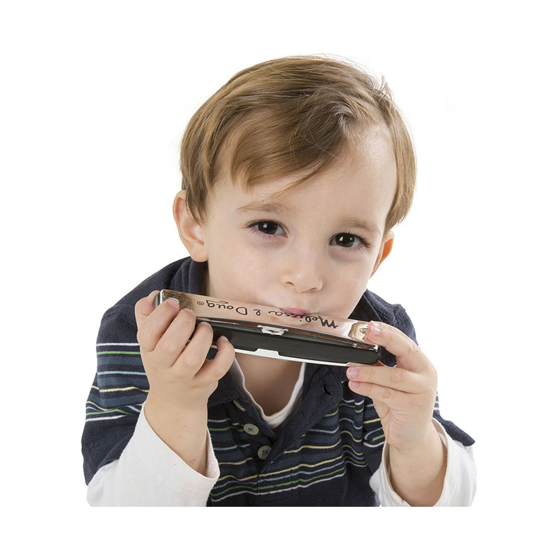 Губная гармошка