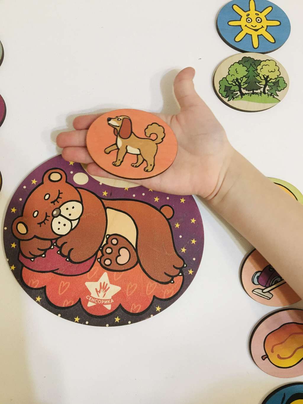 Пособие «Что снится Мишке?» для дифференциации звуков [С] — [Ш] в словосочетаниях и предложениях