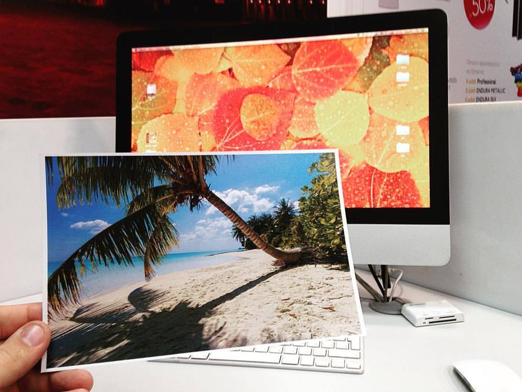 Фотография 13х18 см