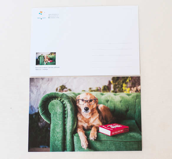 Открытка почтовая