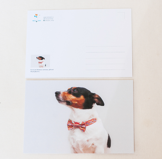 Открытка почтовая