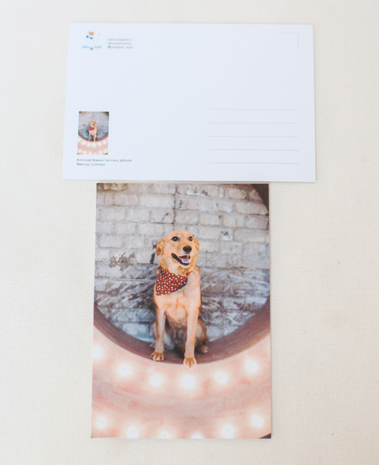 Открытка почтовая