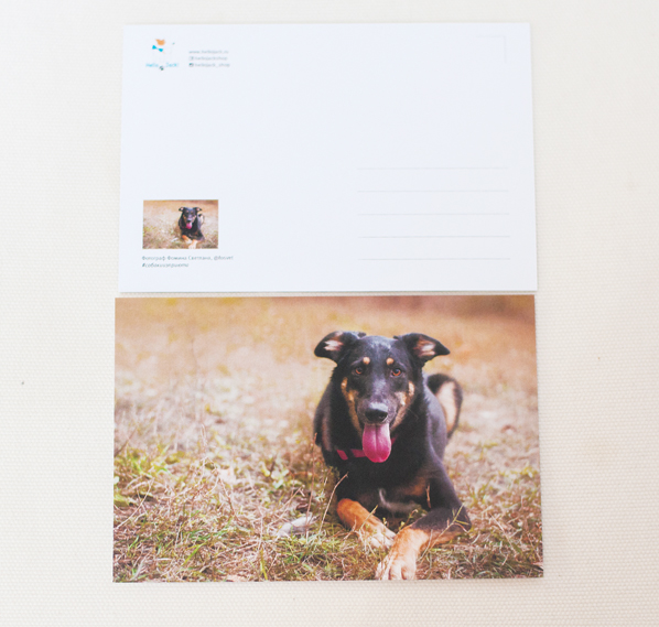 Открытка почтовая