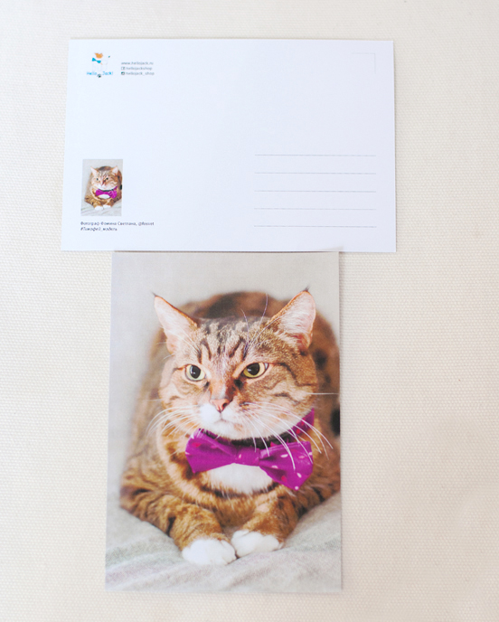 Открытка почтовая