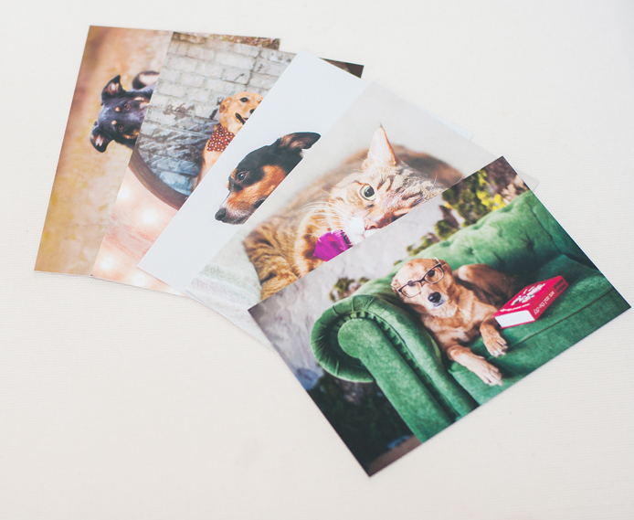 Набор почтовых открыток