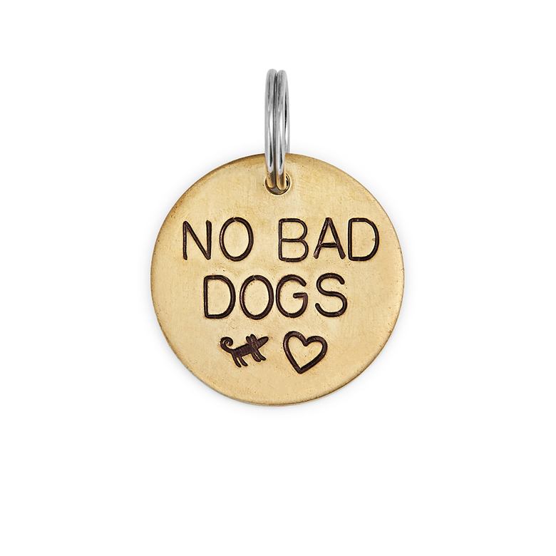 Адресник НЕТ ПЛОХИХ СОБАК (латунь/мельхиор, 25/32 мм)