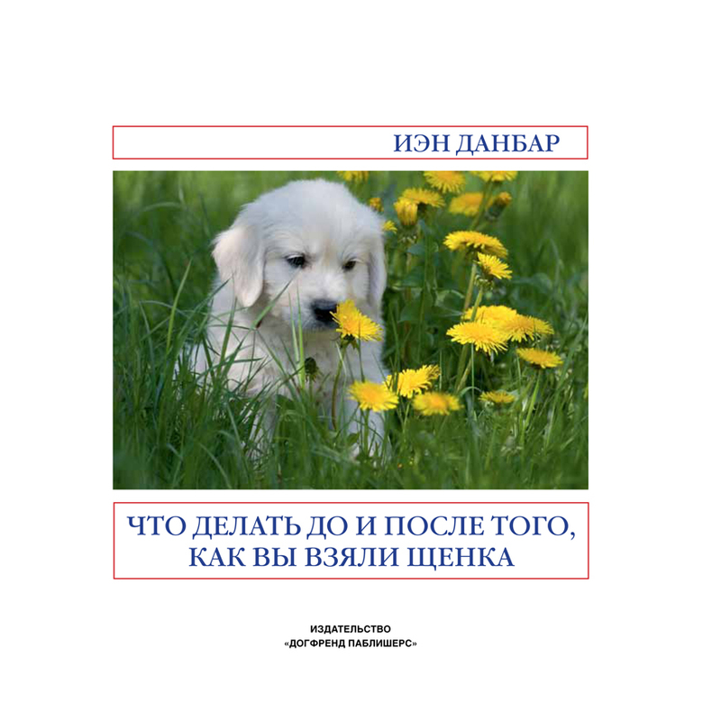 ЧТО ДЕЛАТЬ ДО И ПОСЛЕ ТОГО, КАК ВЫ ВЗЯЛИ ЩЕНКА (Иэн Данбар)