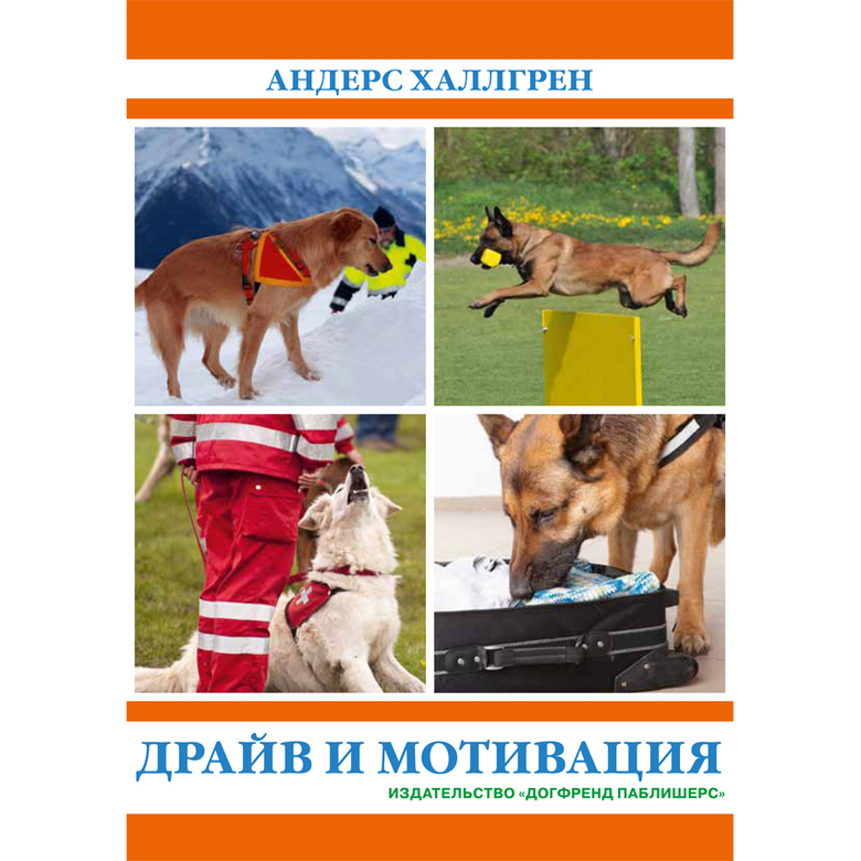 ДРАЙВ И МОТИВАЦИЯ (Андерс Халлгрен)