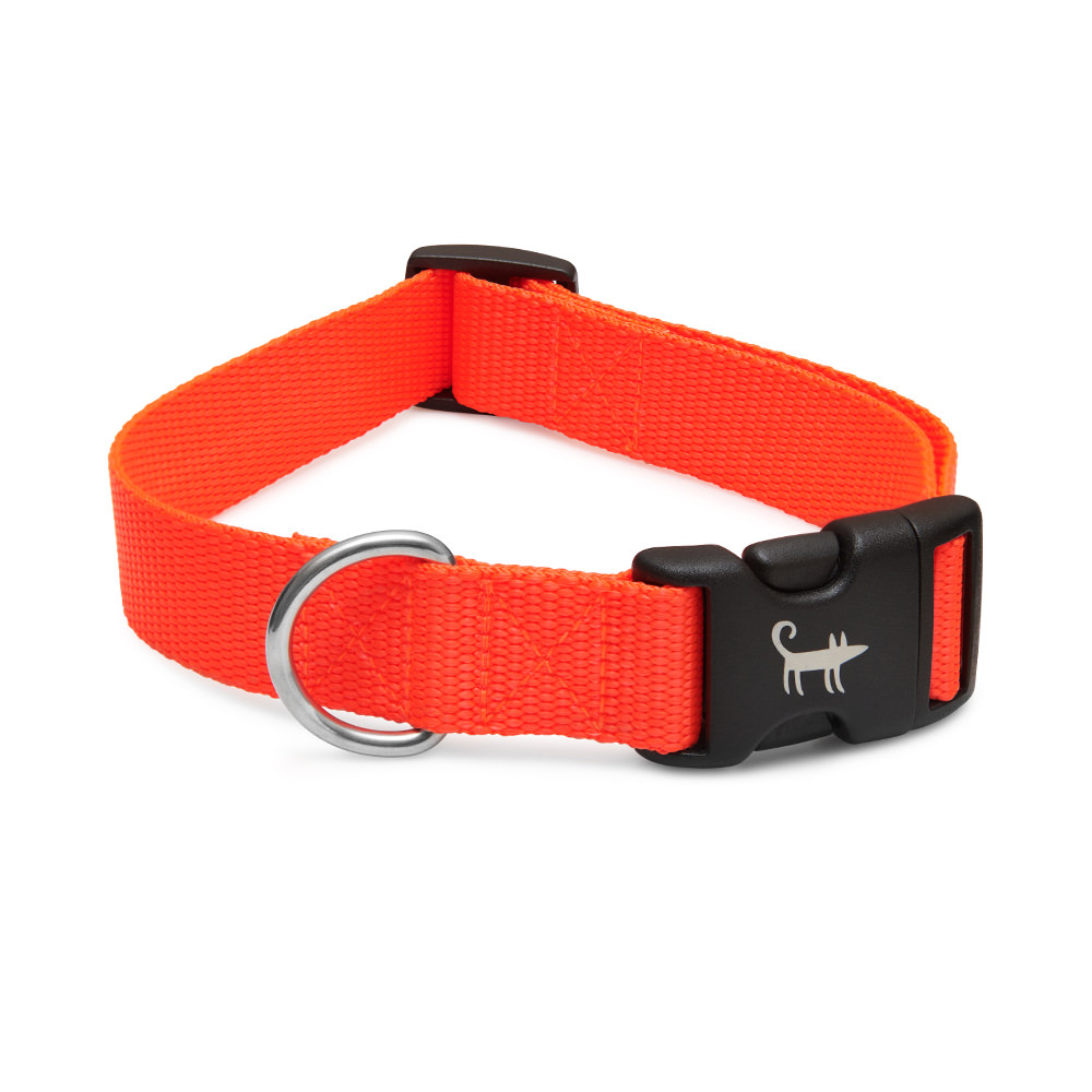 Ошейник для собаки ОРАНЖЕВЫЙ НЕОН