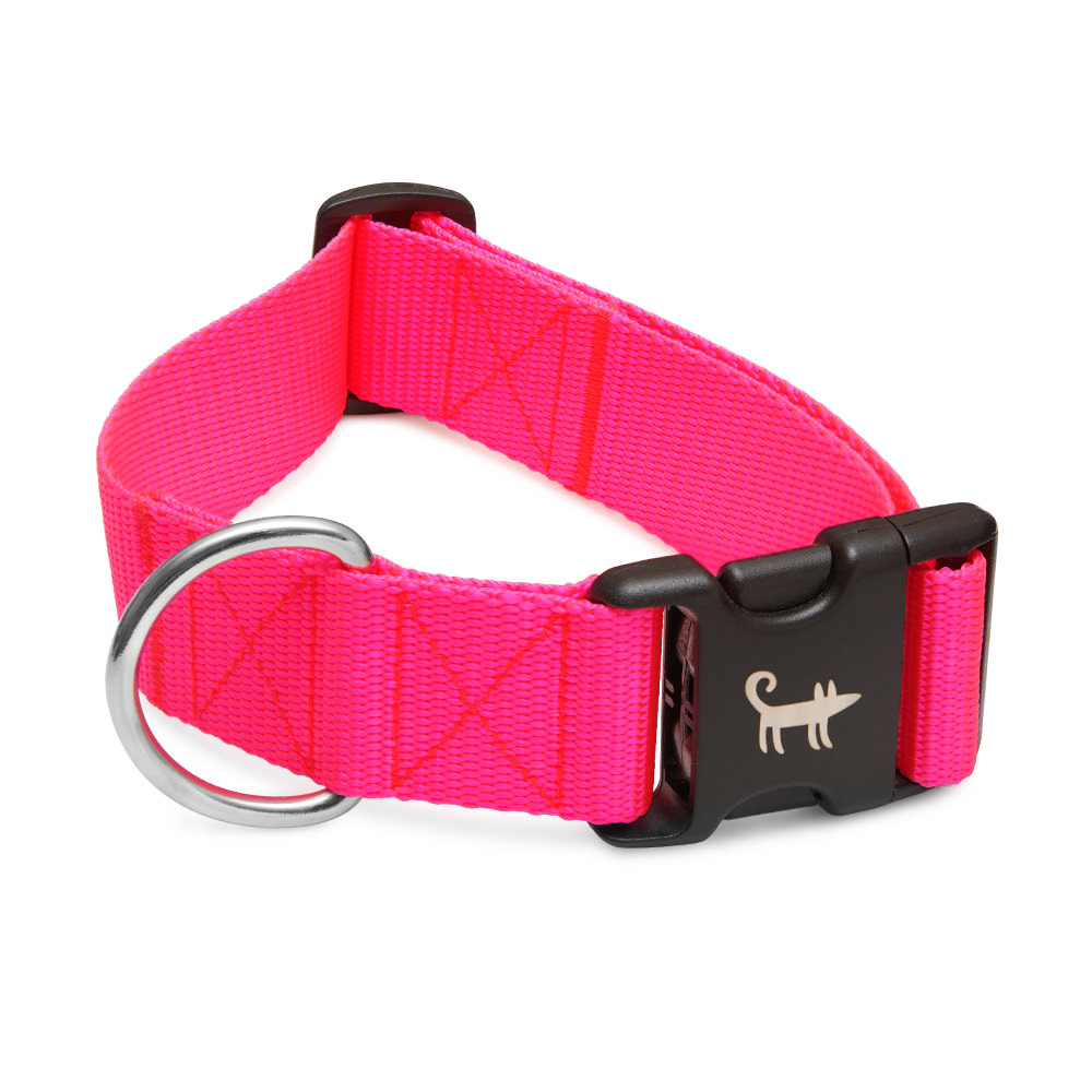 Ошейник для собаки РОЗОВЫЙ НЕОН (широкий)