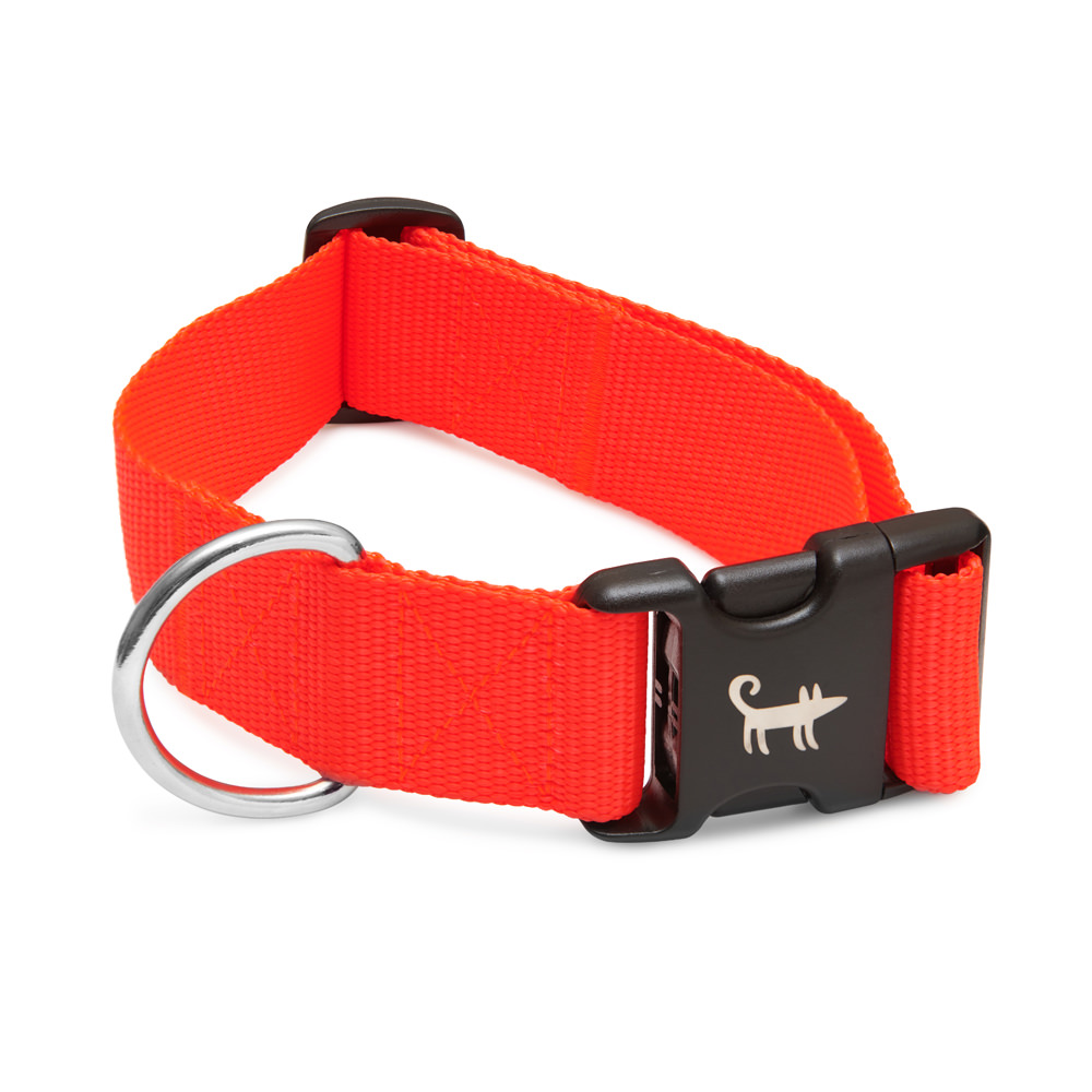 Ошейник для собаки ОРАНЖЕВЫЙ НЕОН (широкий)