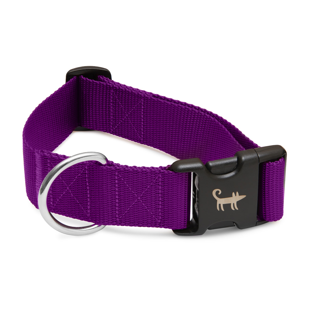 Ошейник для собаки ФИОЛЕТОВЫЙ (широкий)