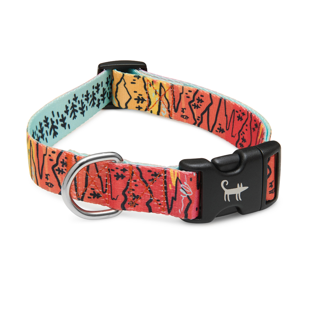 Ошейник для собаки ДЮНА