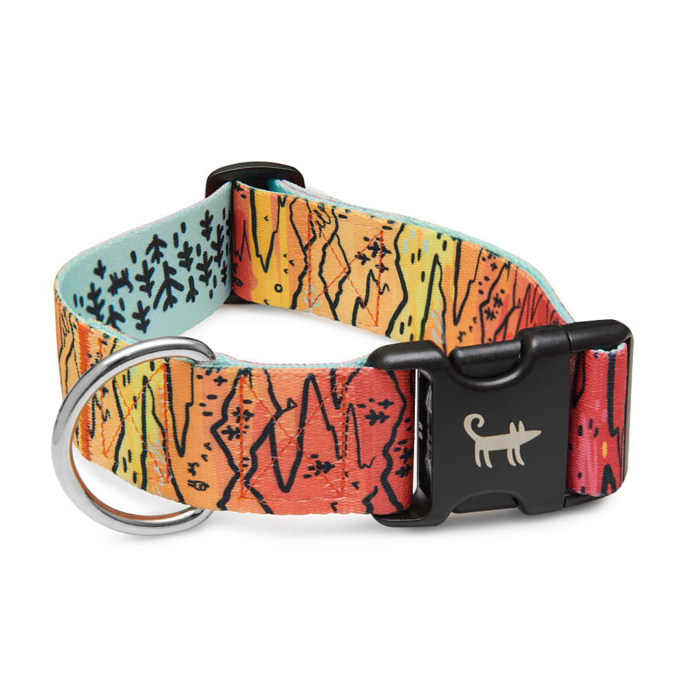 Широкий ошейник ДЮНА