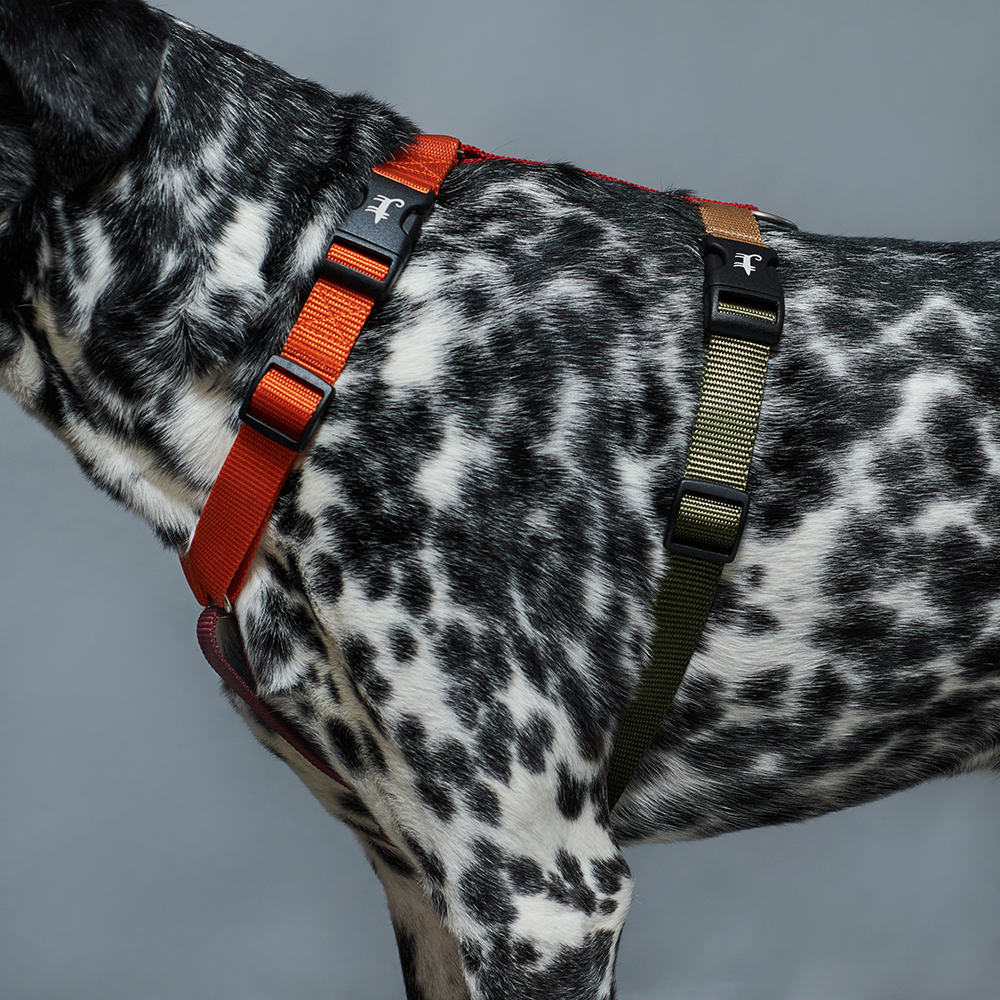 Фастексы на шее