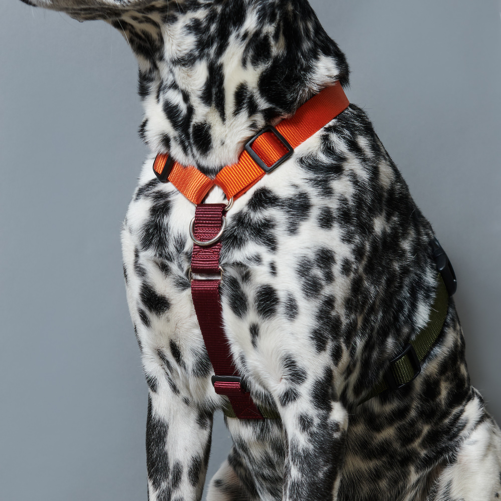 Кольцо на груди (от размера XS)