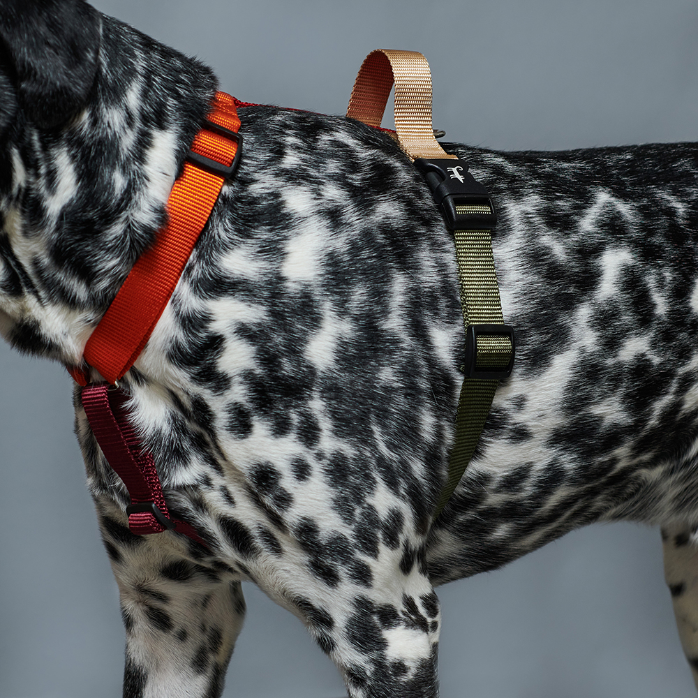 Ручка на спине (от размера XS)