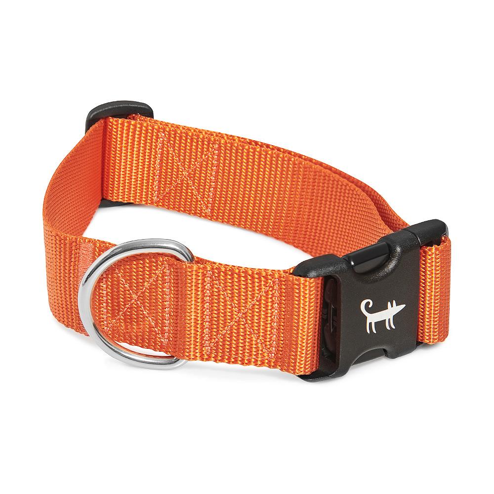 Ошейник для собаки ОРАНЖЕВЫЙ (широкий)