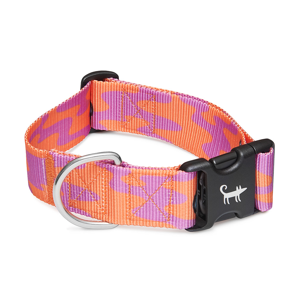 Широкий ошейник ВОНЮЧИЙ СЛУЧАЙ