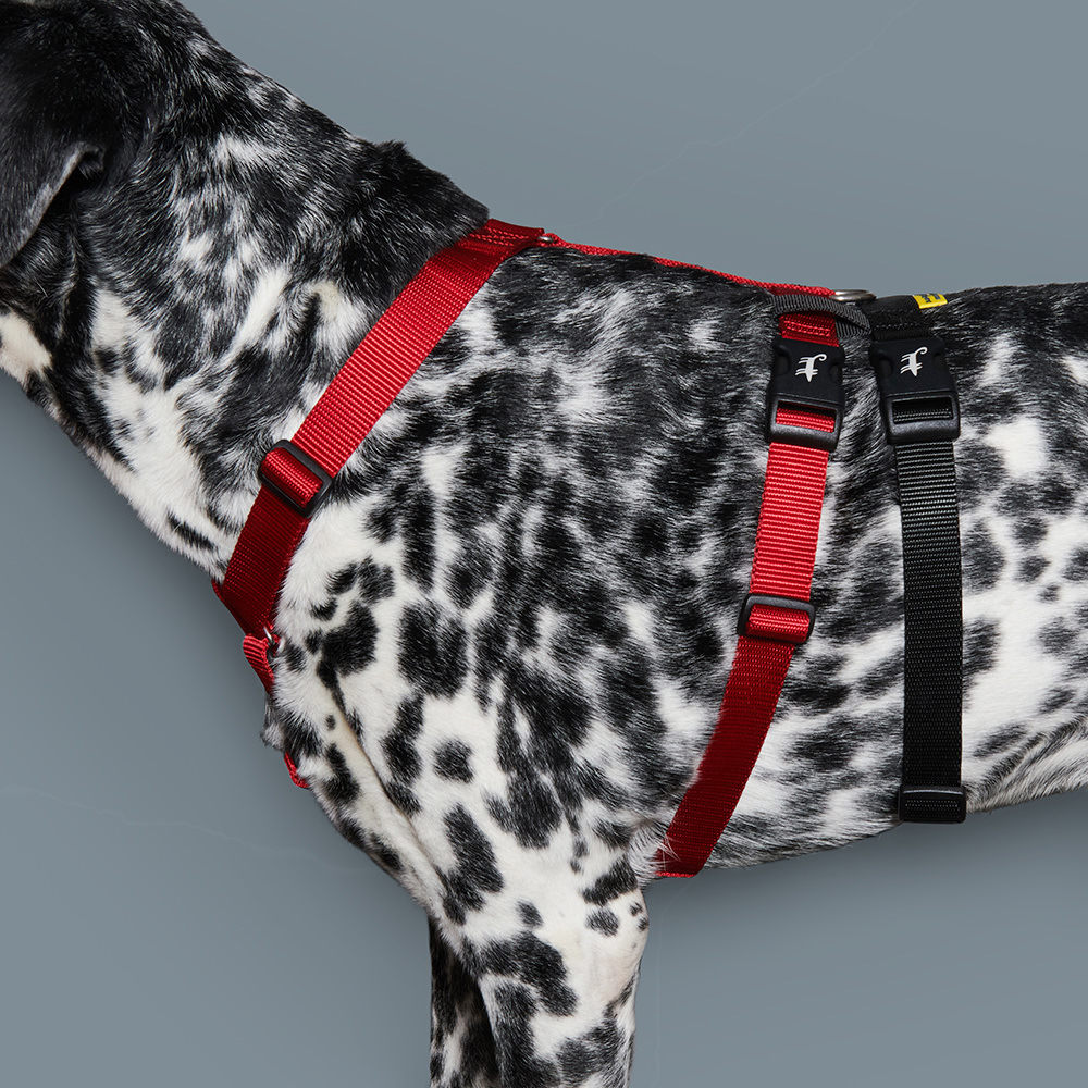 Дополнительная страховочная стропа