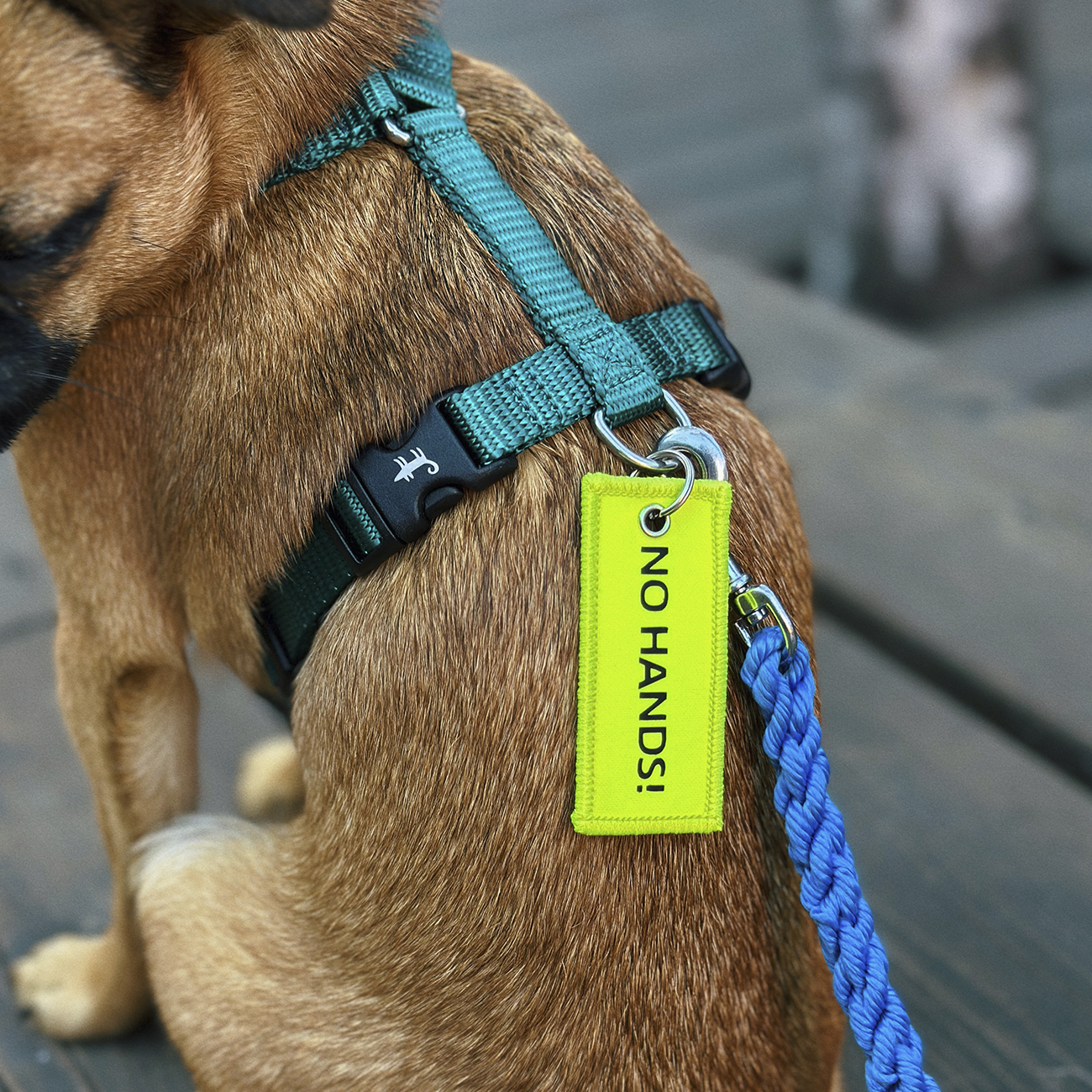 Предупреждающий брелок БЕЗ РУК (англ., 7 см)