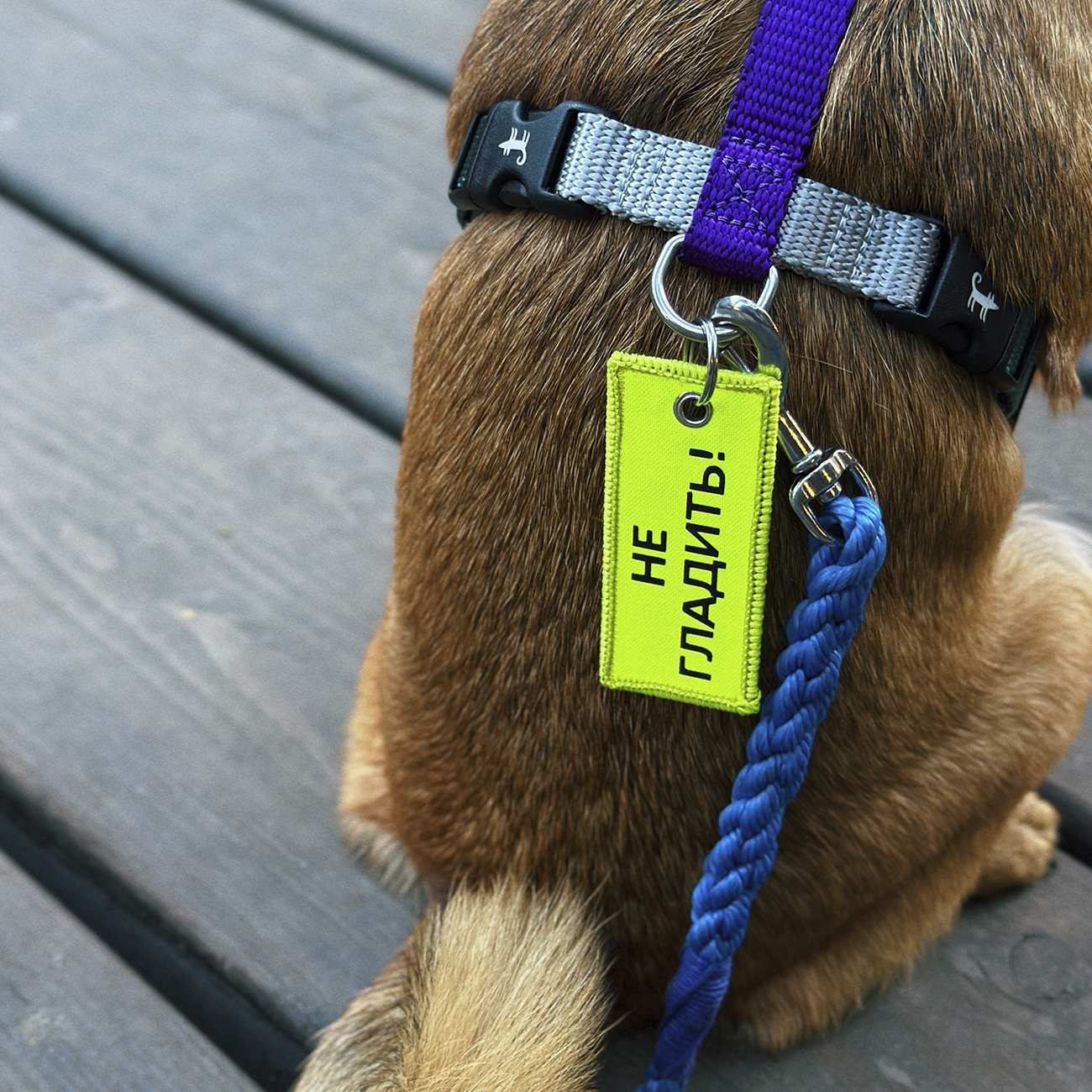 Предупреждающий брелок НЕ ГЛАДИТЬ (7 см)