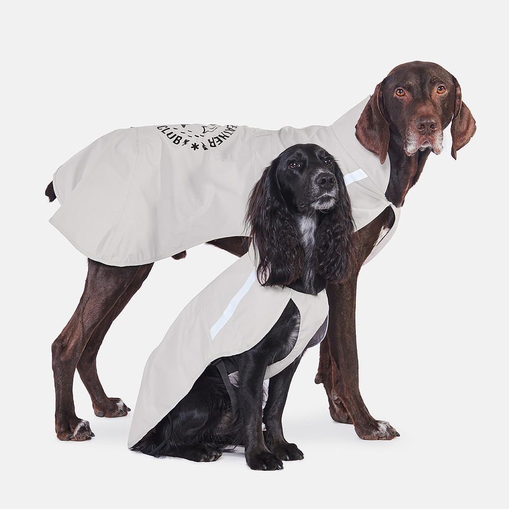 Дождевик для собак КЛУБ ГУЛЯЮЩИХ В ЛЮБУЮ ПОГОДУ