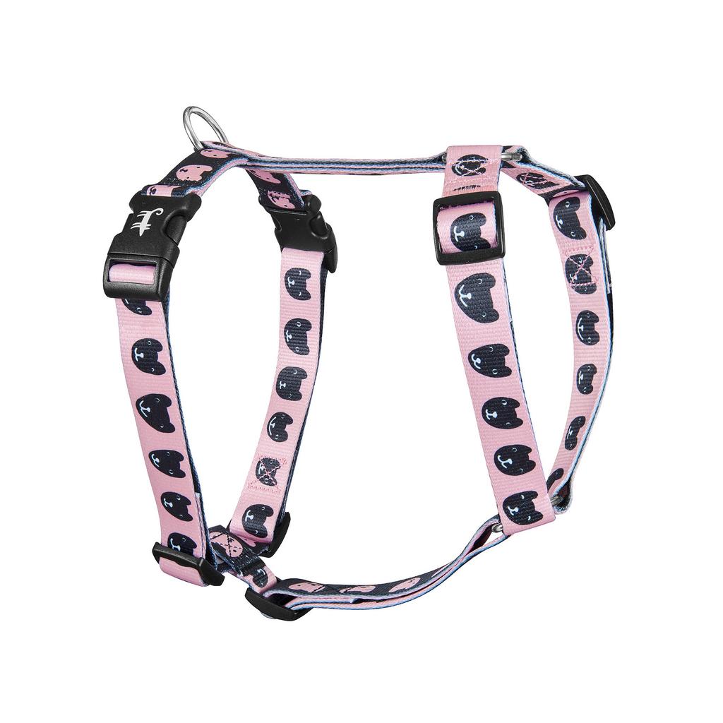 Шлейка ТУРБЕН х Шарик