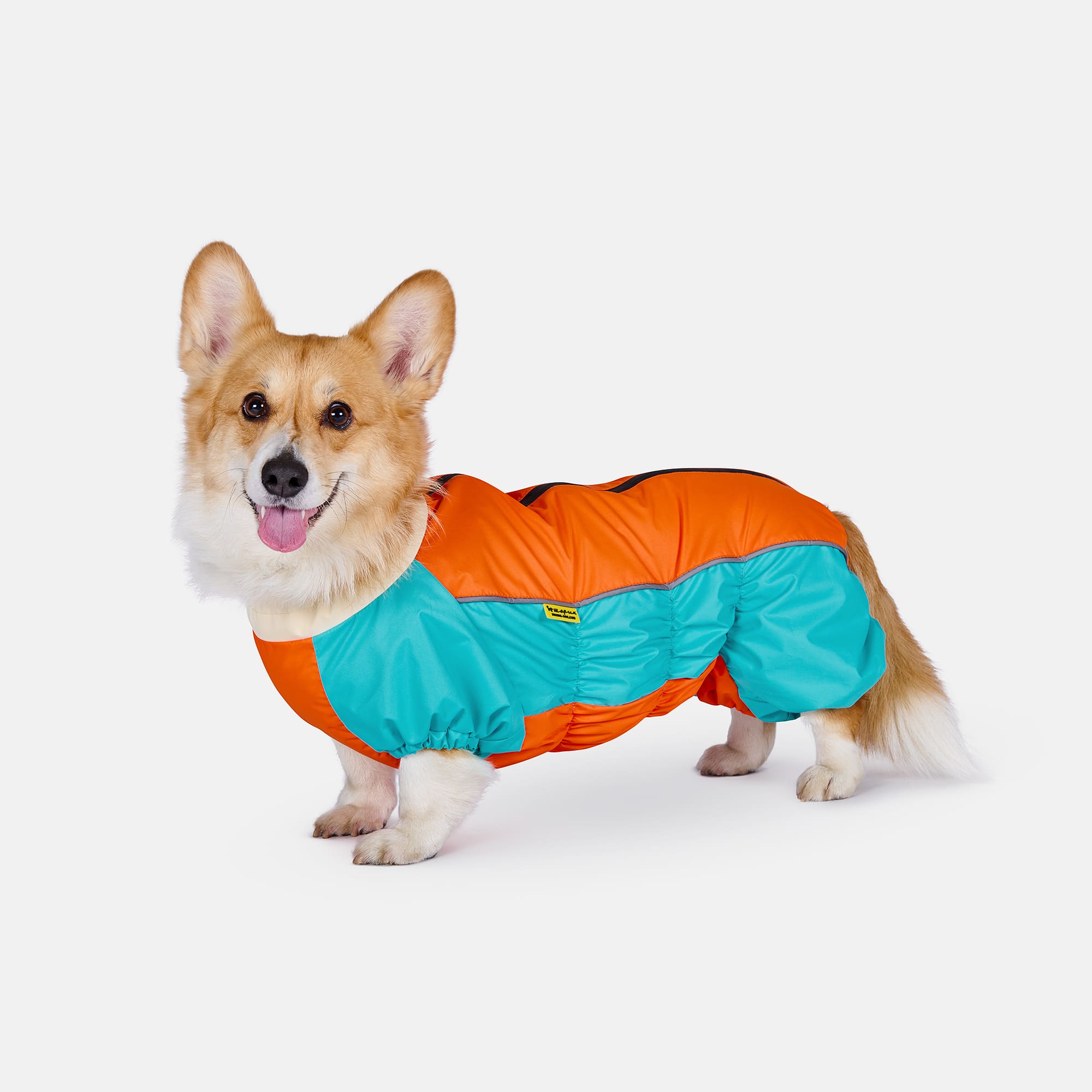 Комбинезон мебранный ADIDOG (для корги)