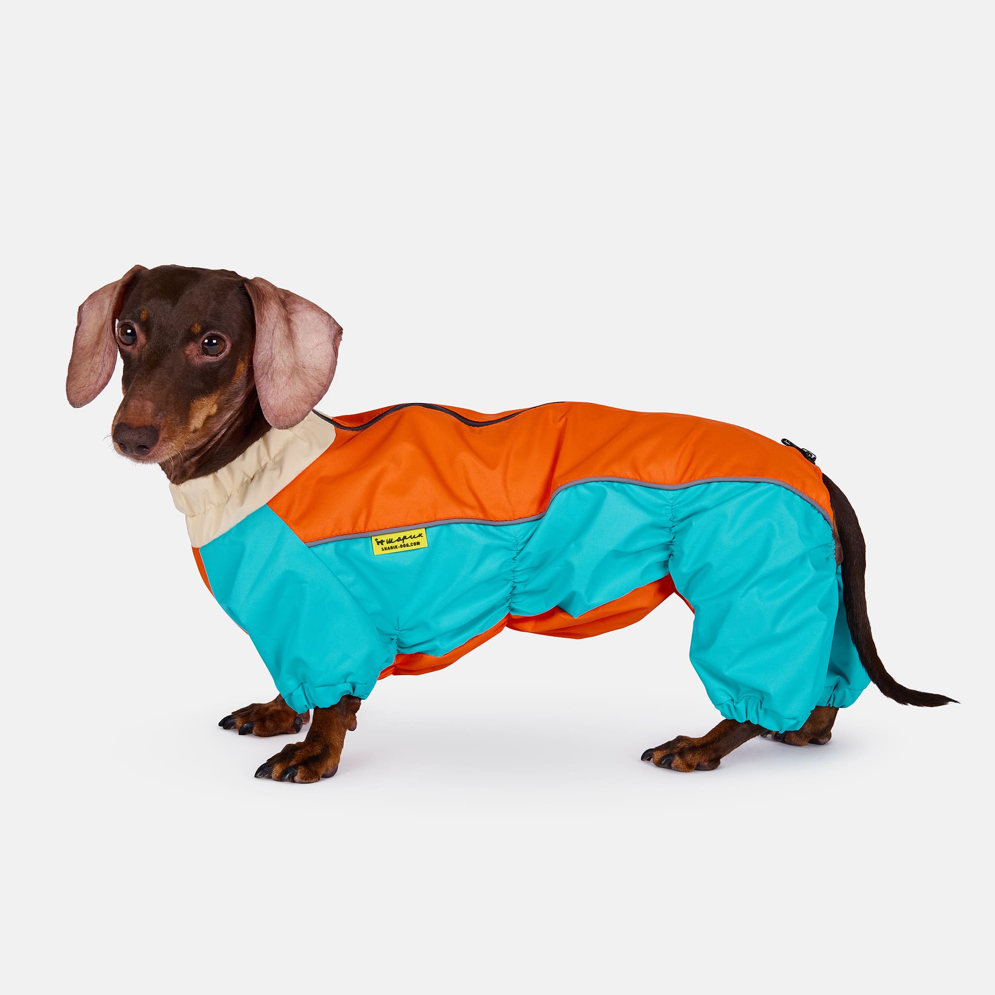 Комбинезон мебранный ADIDOG (для такс)