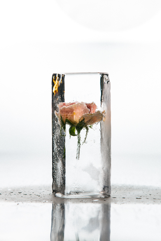 Лед с цветами и ягодами