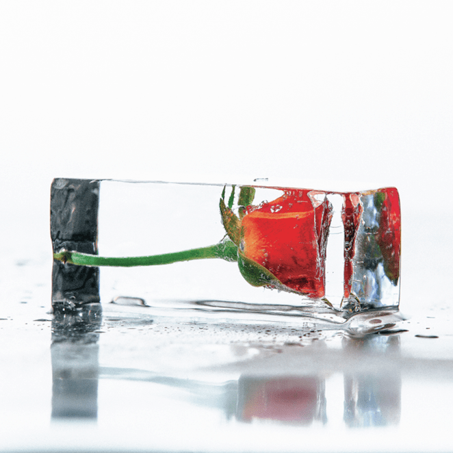 Лед с цветами и ягодами