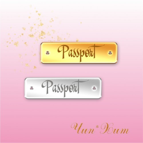 Надпись из акрила "Passport" 3D - зеркальное серебро
