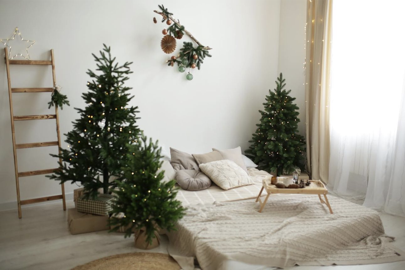 FAMILY 13 ДЕКАБРЯ (11:00-13:00)