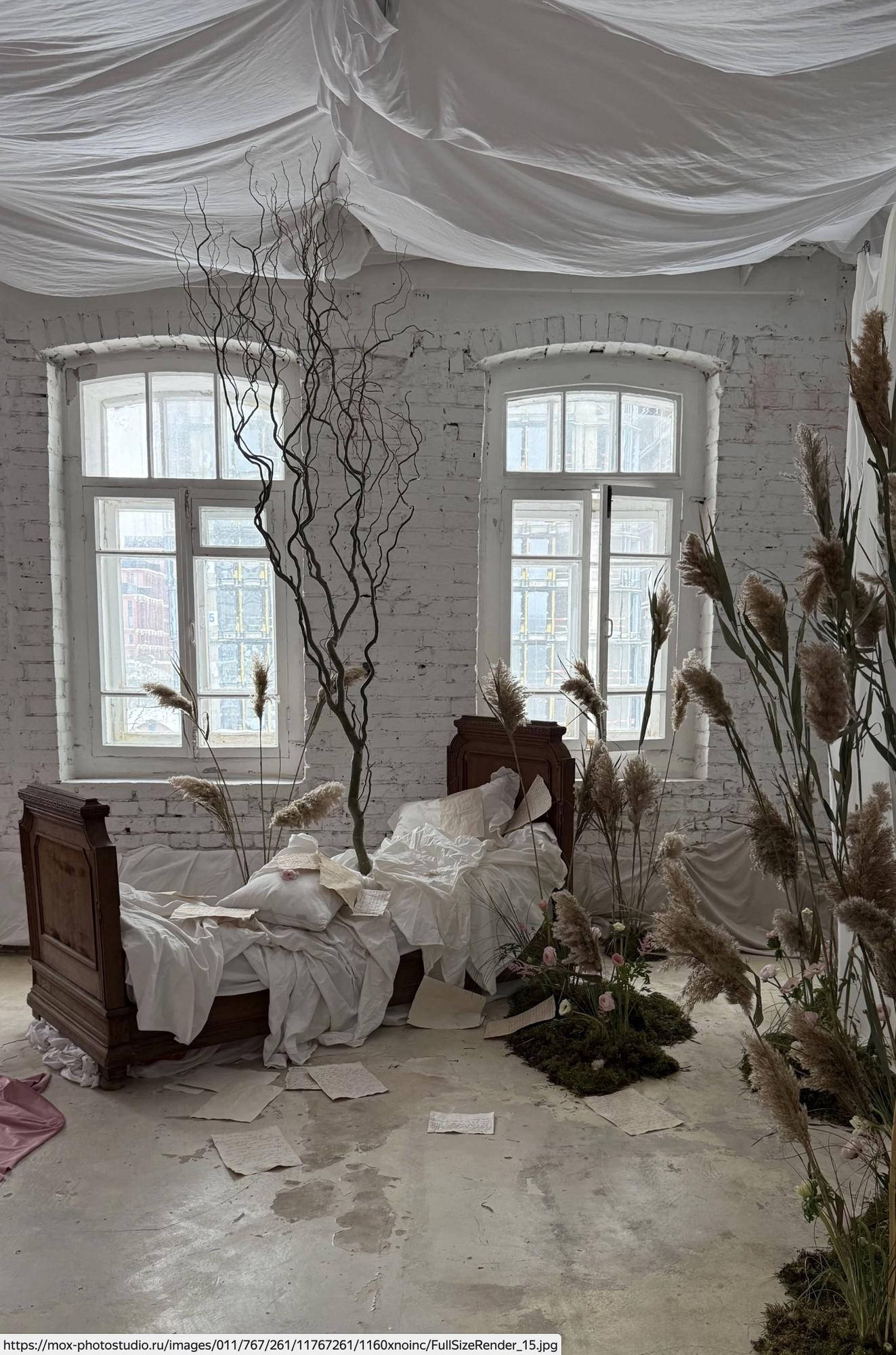 ЭКСПРЕСС Свет 22 февраля