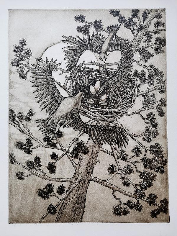 Графический лист "Гнездо" ,офорт, акварельная бумага ,офортная краска.