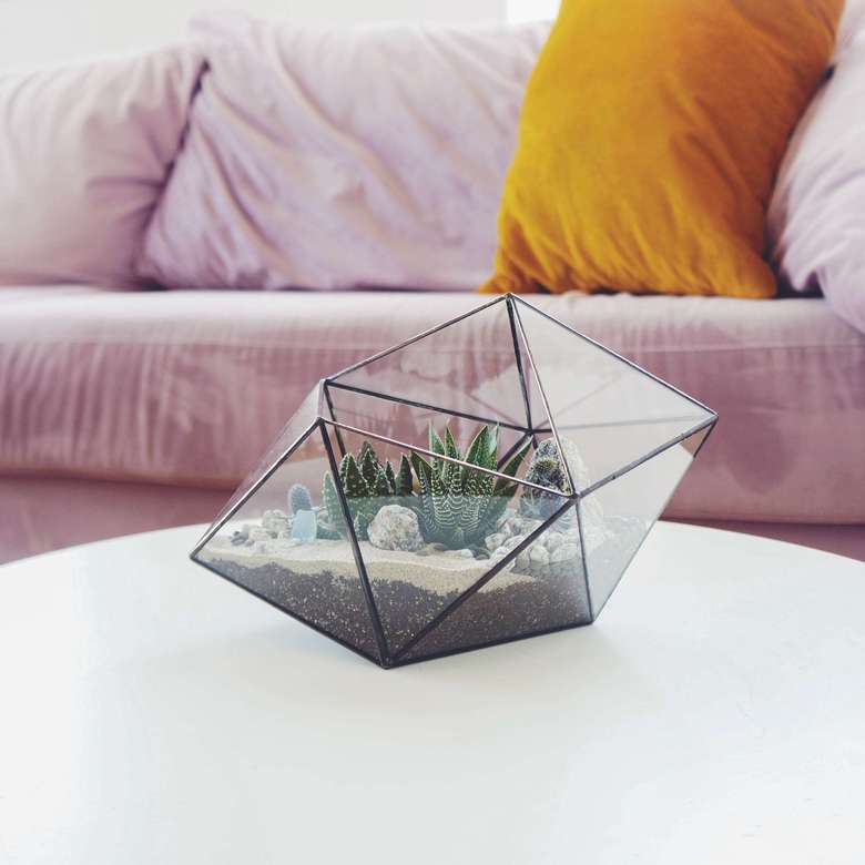 флорариум с суккулентами Неприхотливый