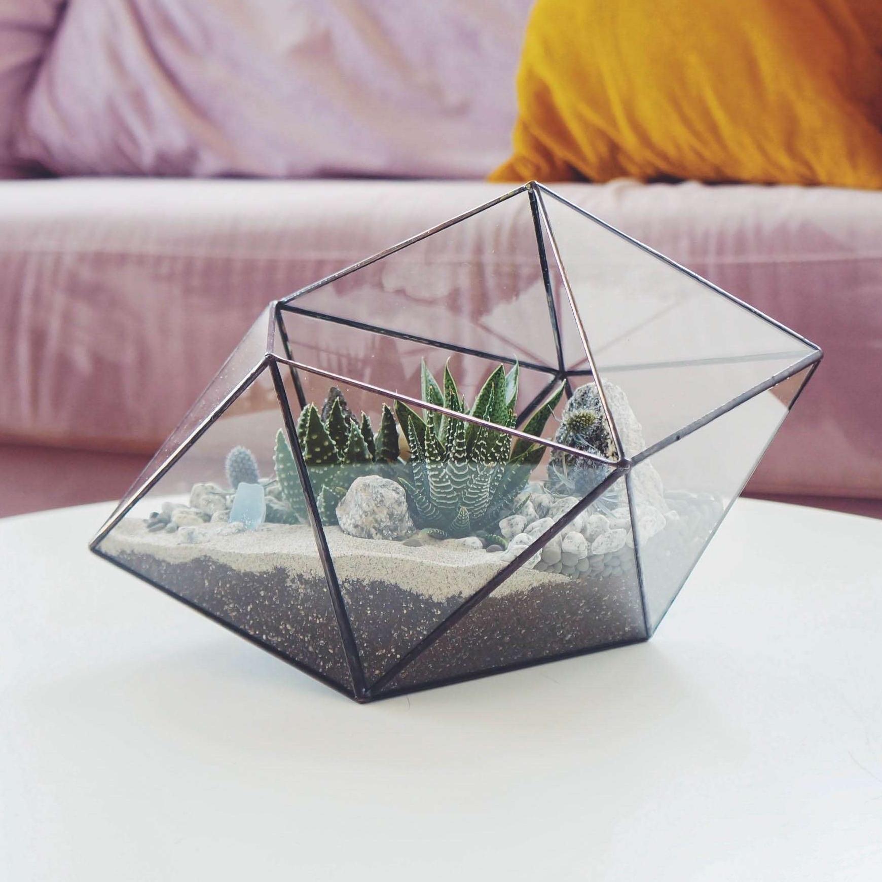 флорариум с суккулентами Неприхотливый