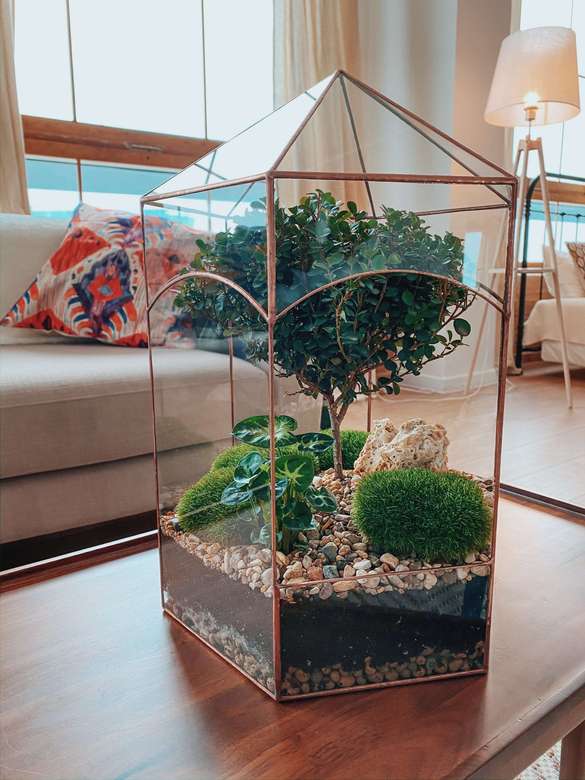 флорариум Шантарам с мирсиной, высота 41см