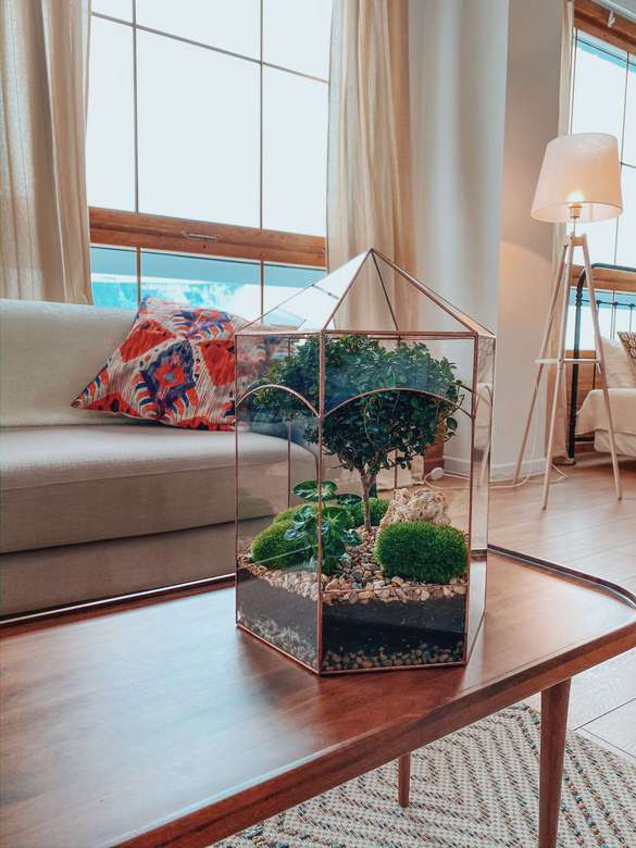 флорариум Шантарам с мирсиной, высота 41см